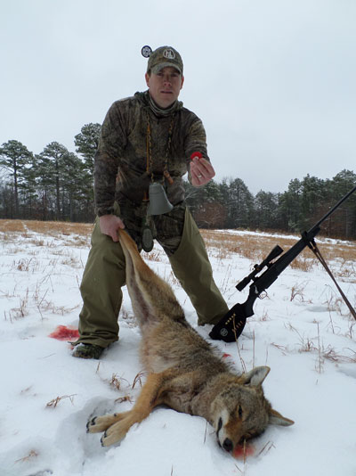 heath wood with coyote harvest