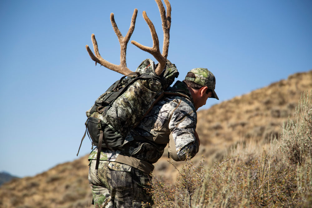 hunter hiking out deer