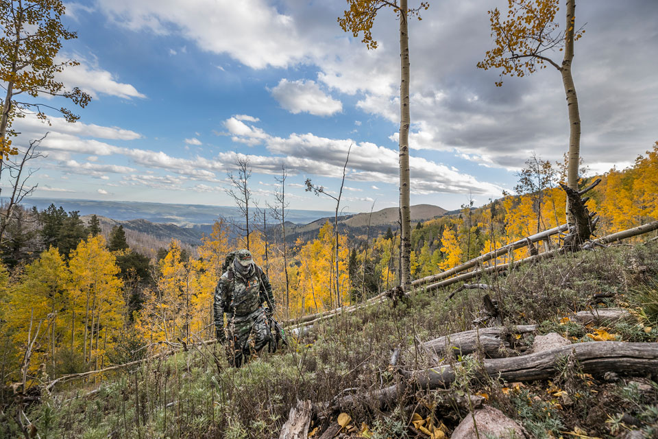 hiking mountain country