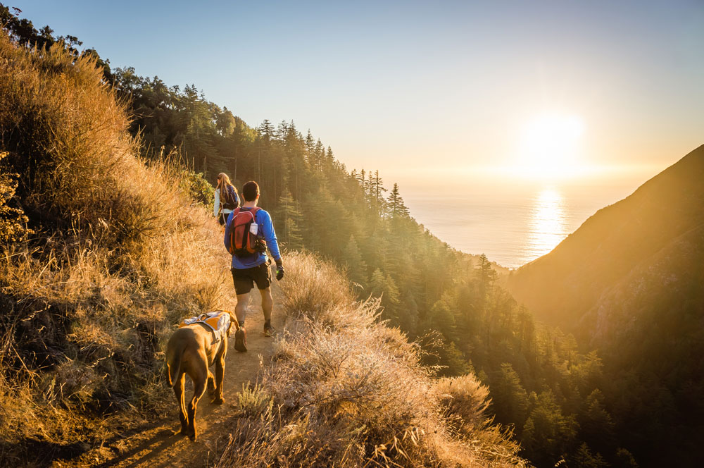 hiking with dog