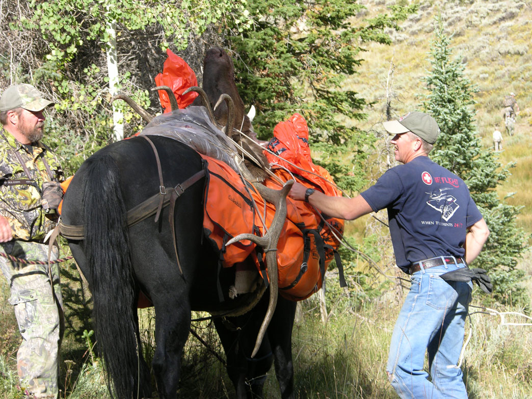 packing out elk meat on horseback