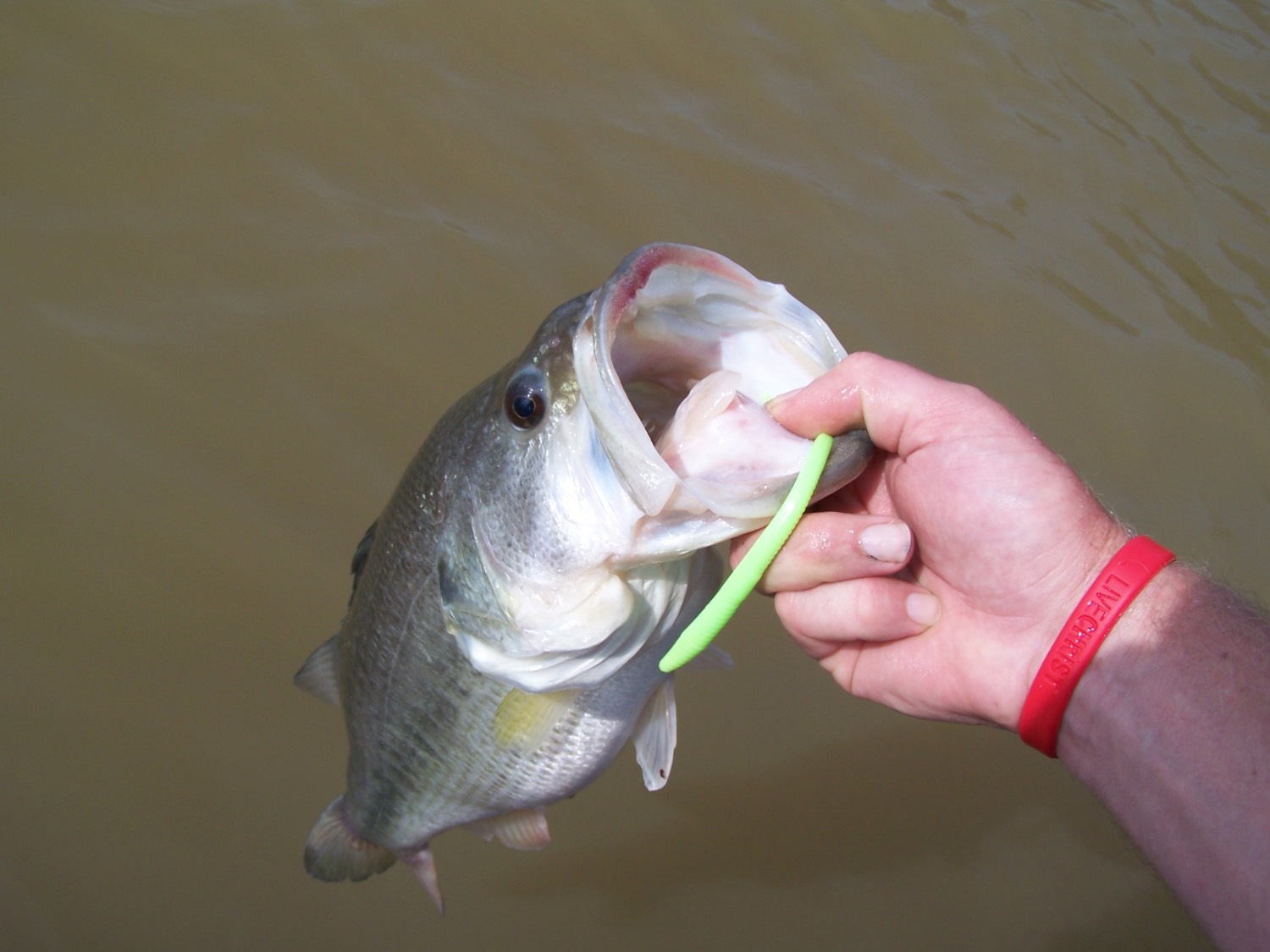 man holding up a bass