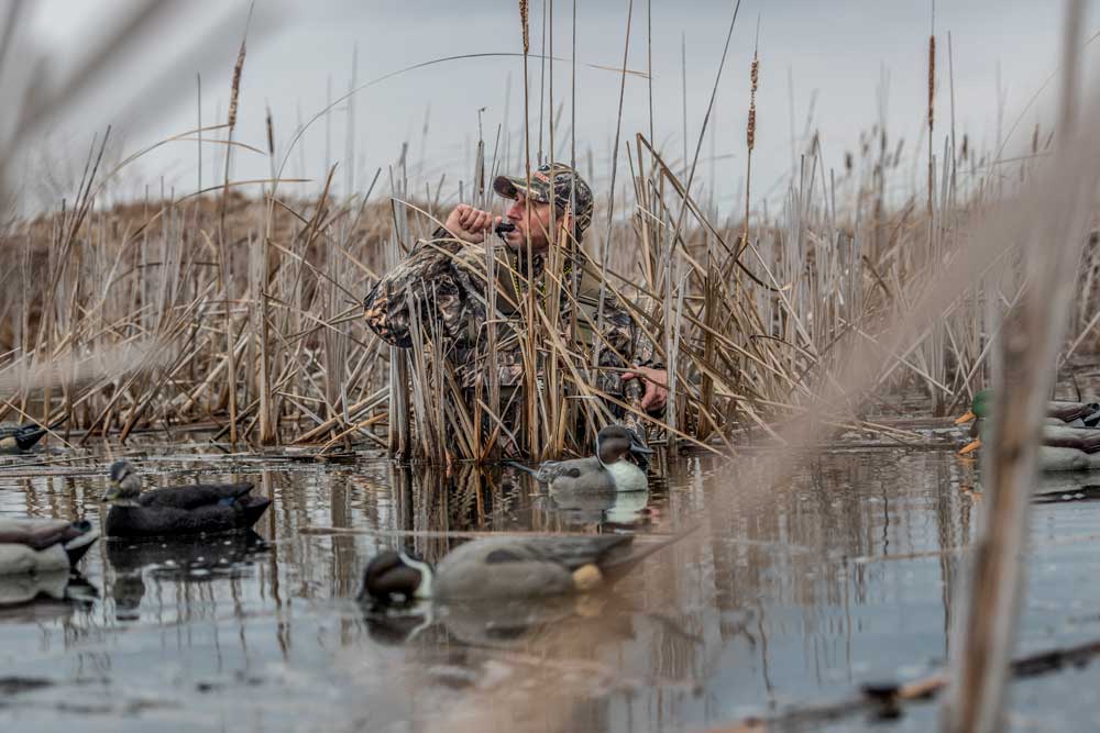 hunter calling ducks