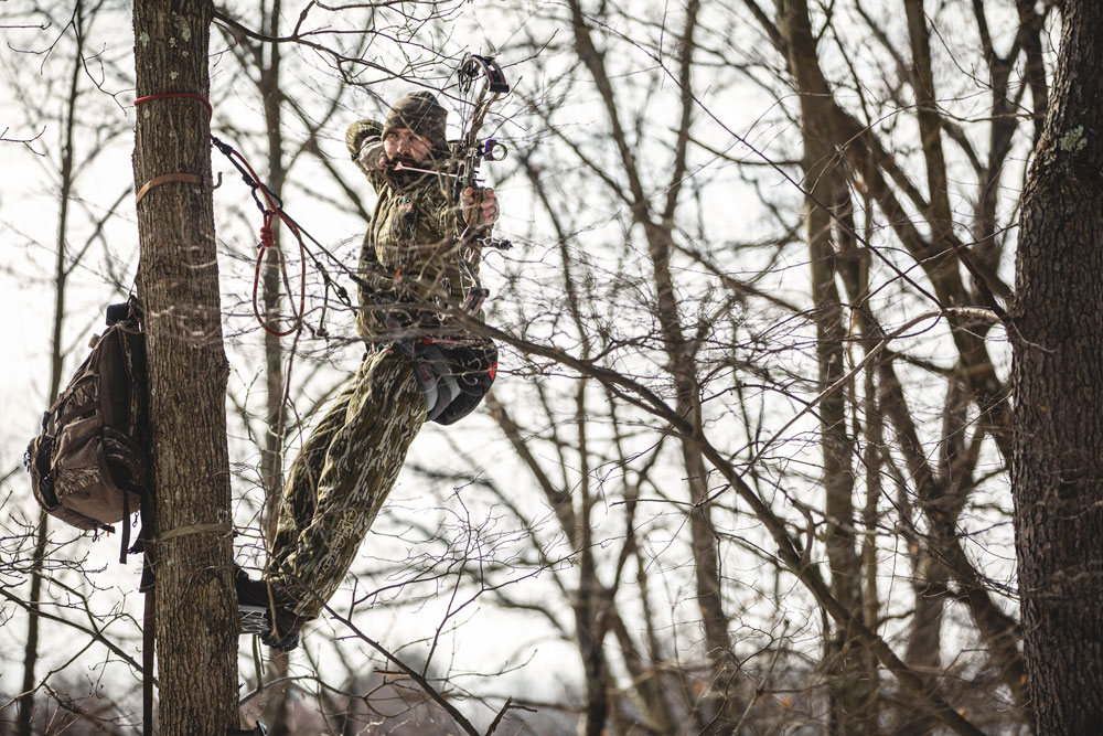 hunting from tree saddle