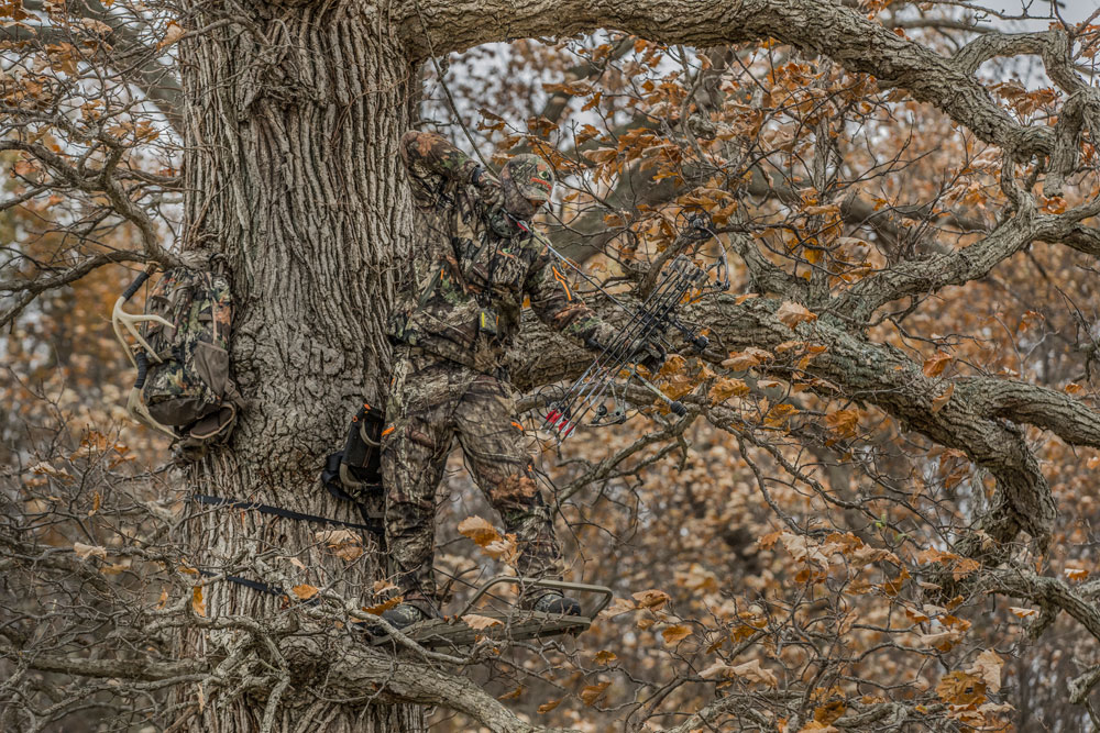 hunting from a treestand