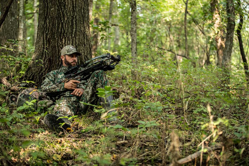 hunting next to oak tree