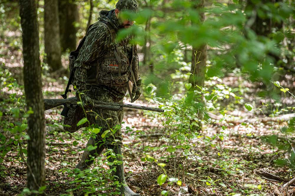 hunting timber turkeys