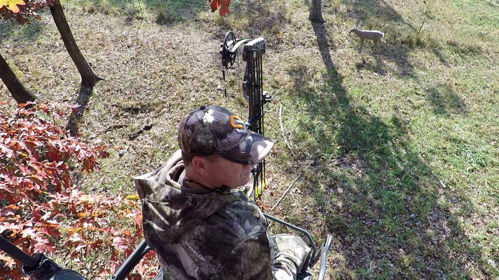hunting with deer decoy