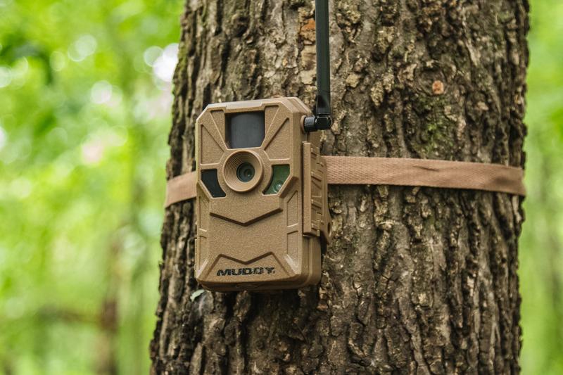 trail camera