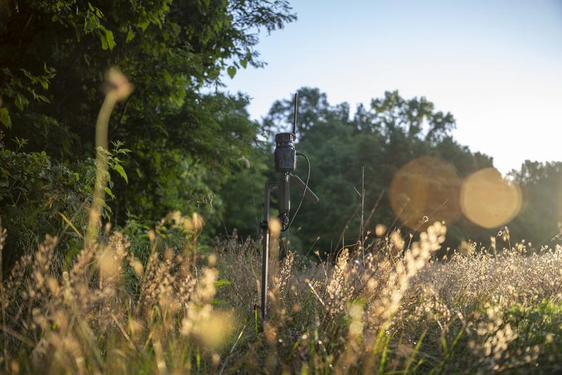 trail camera