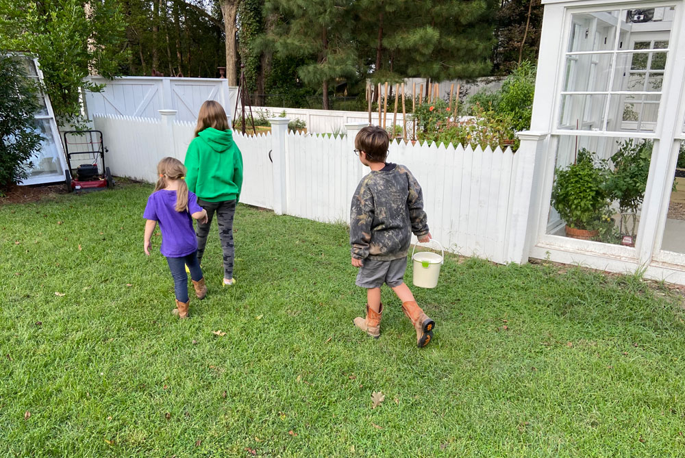 kids composting