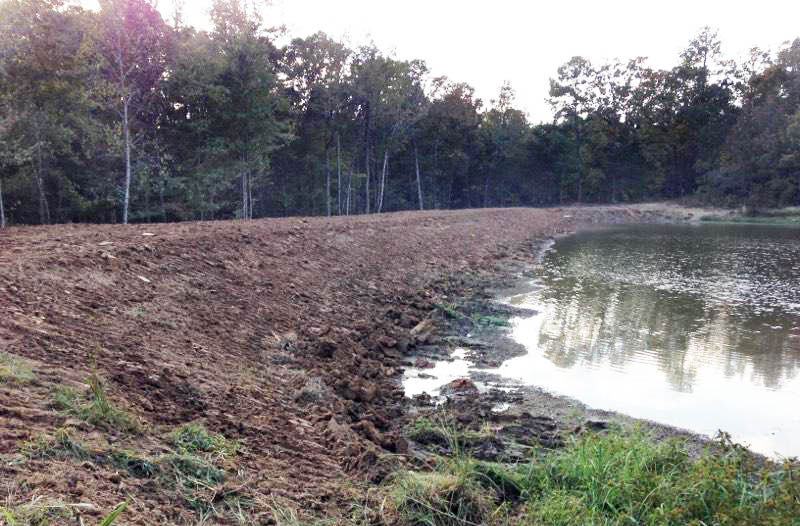 building a pond