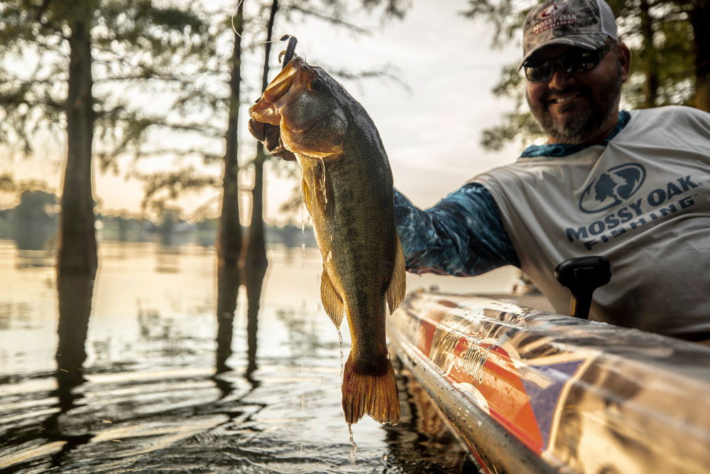 Largemouth Bass: Frequently Asked Questions