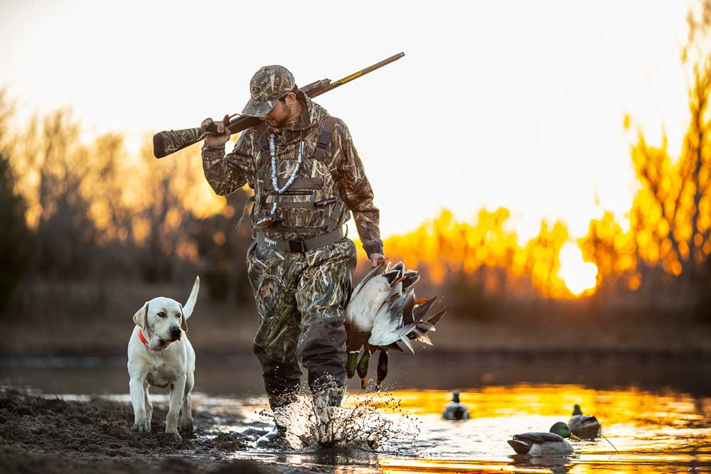 late season mallards