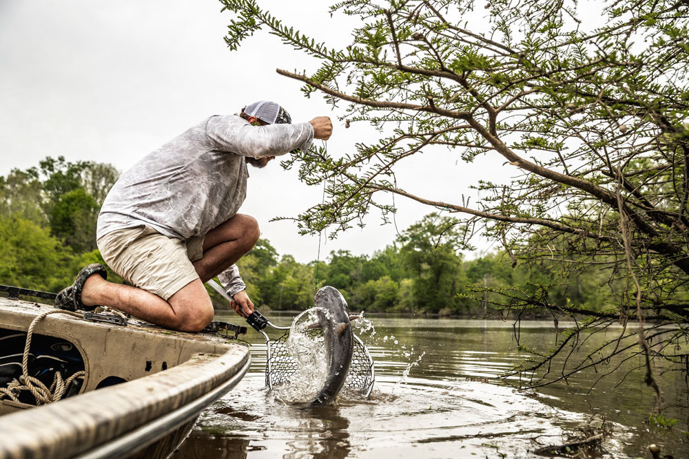 Fishing for Flathead Catfish — River Certified Fishing, Kayak