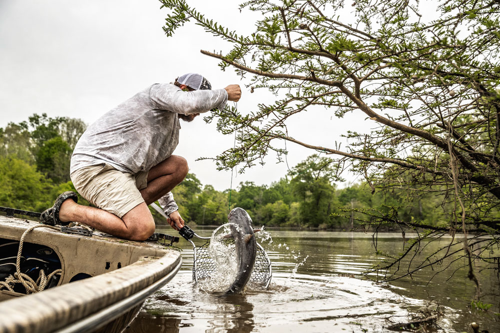 Everything You Need to Catch Catfish