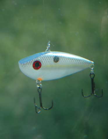 lipless crankbait