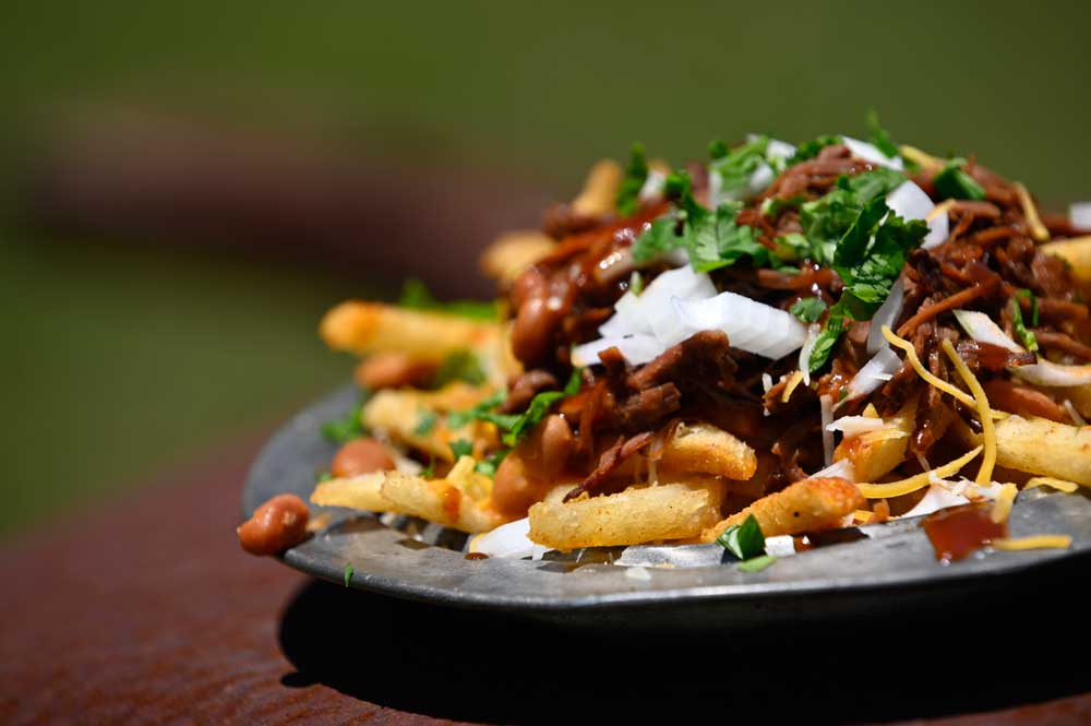 loaded turkey fries recipe