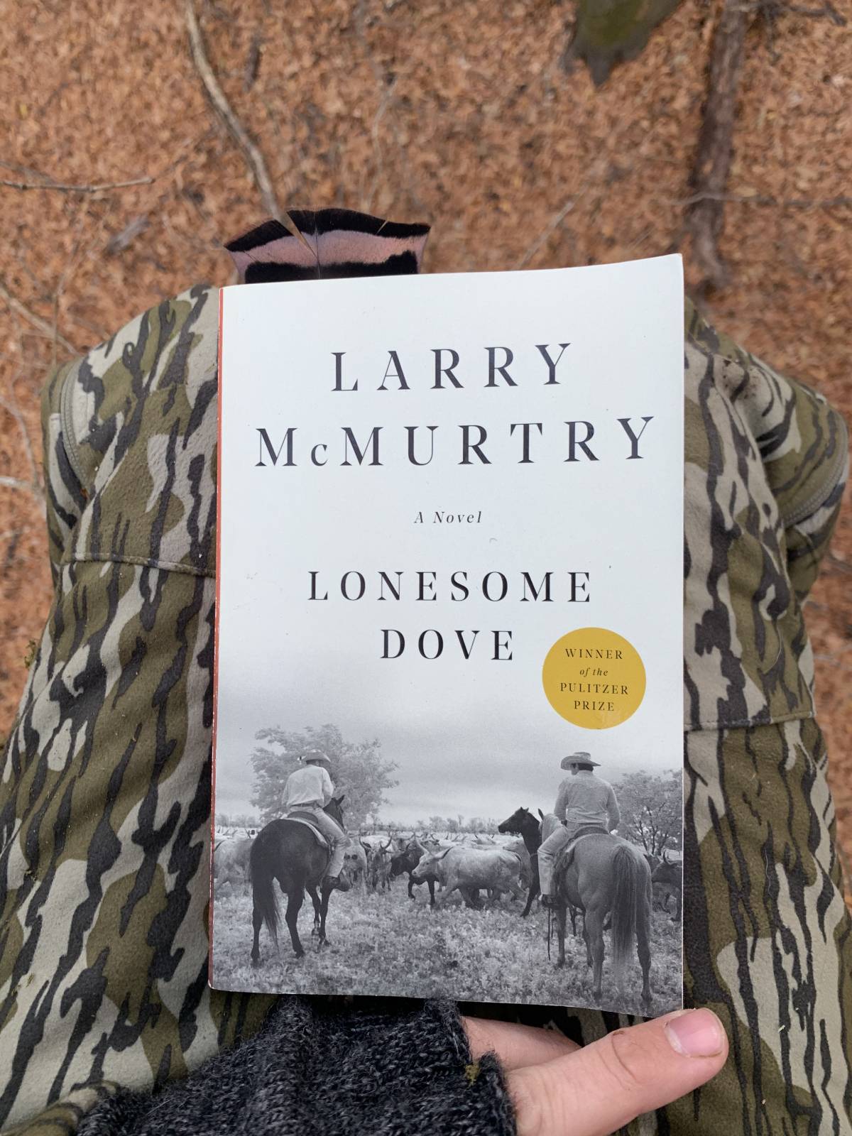 lonesome dove in the woods