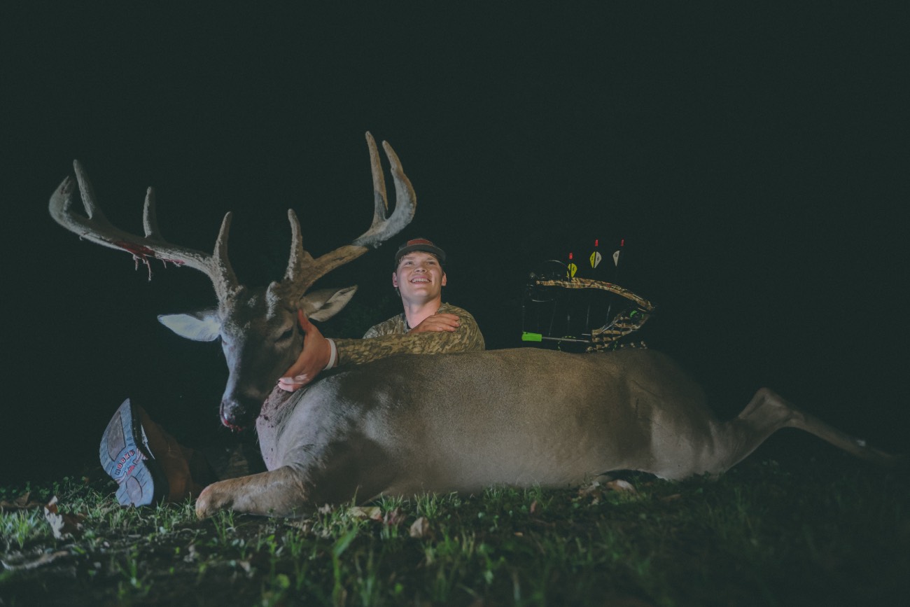 velvet deer at night