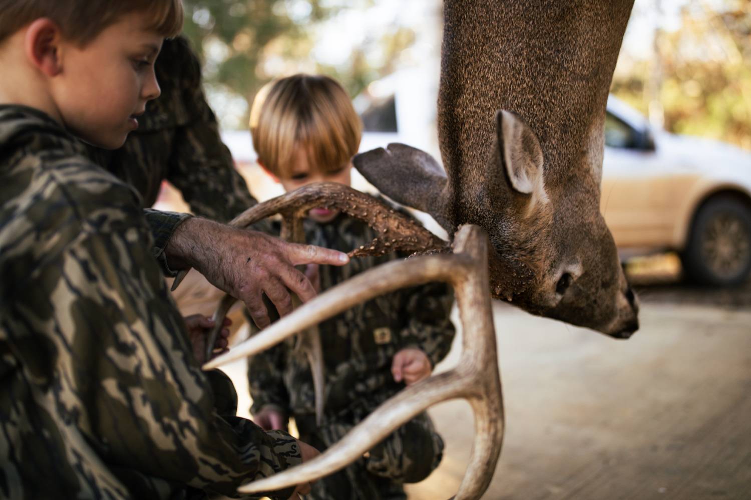kids and deer