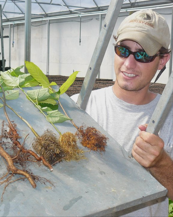 man holds up plants