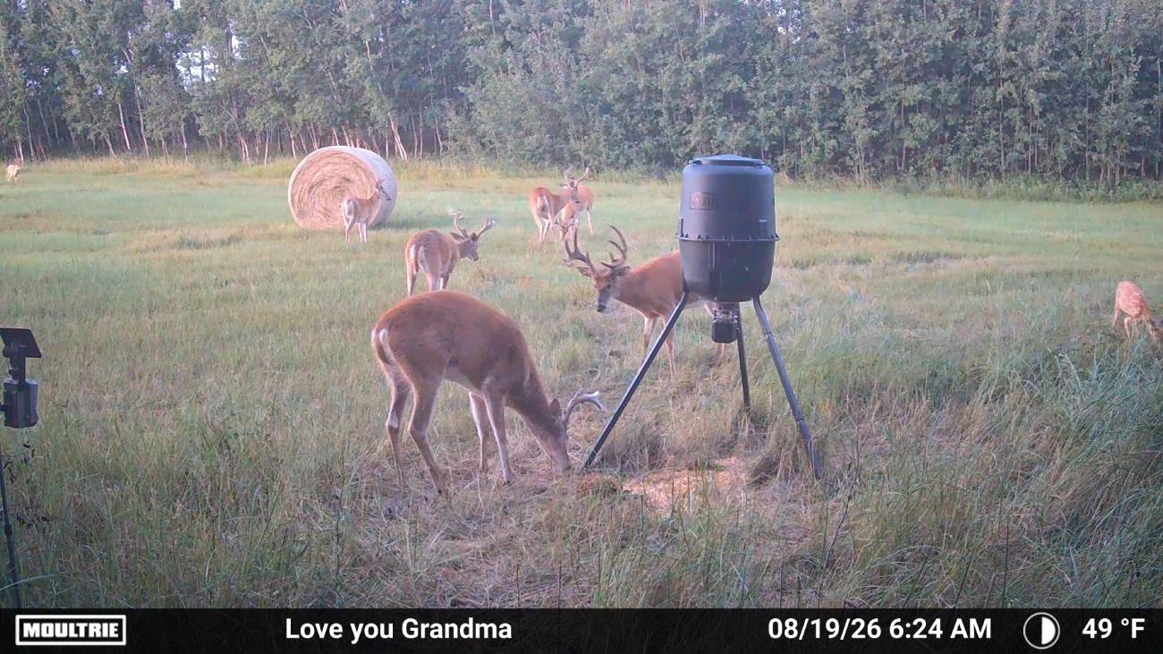 moultrie camera
