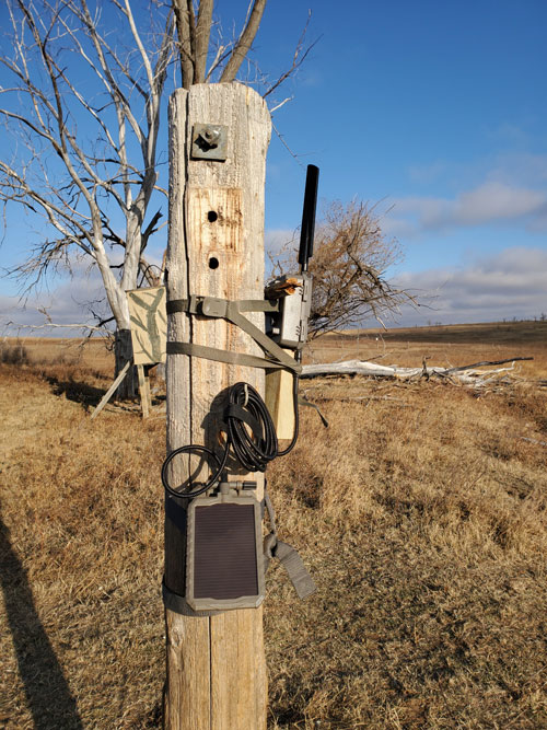 mounted game camera