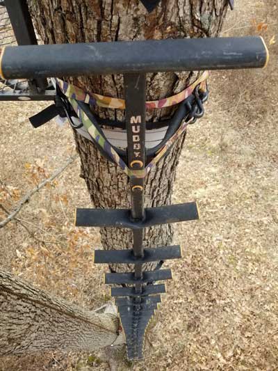 muddy tree stand ladder