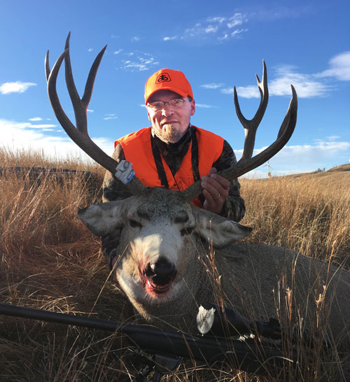 mule deer buck