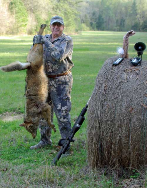 coyote hunt