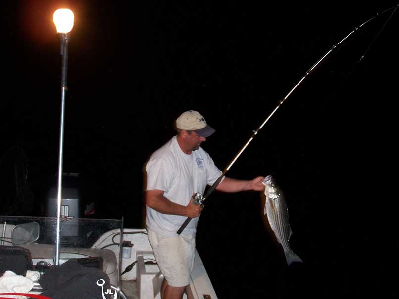 night fishing striper