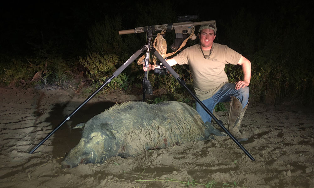 night hog hunting