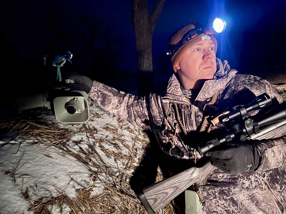 night hunting coyotes