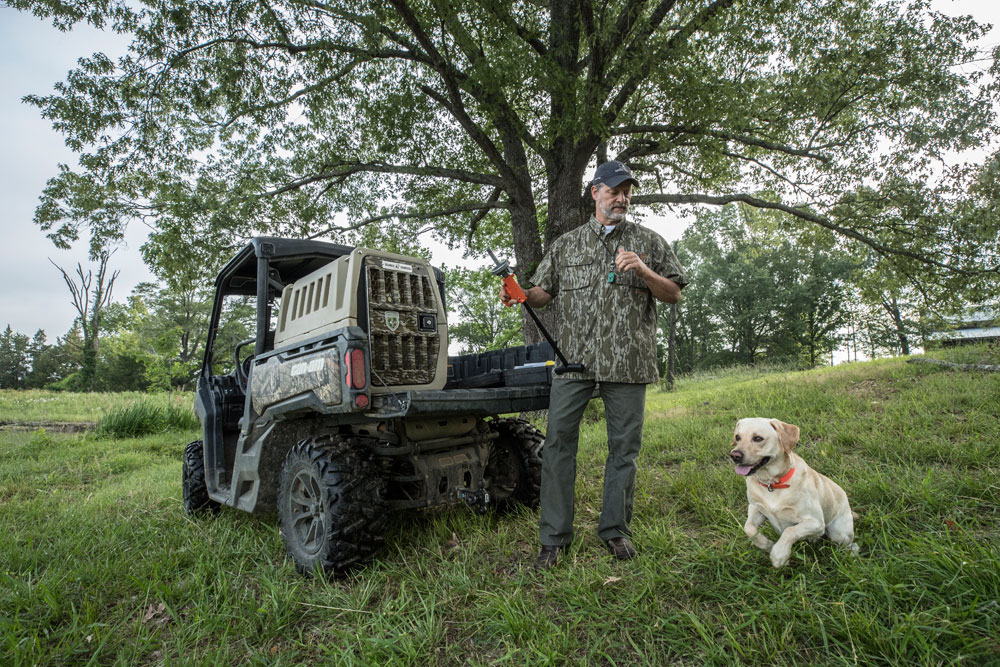 off-season dog training