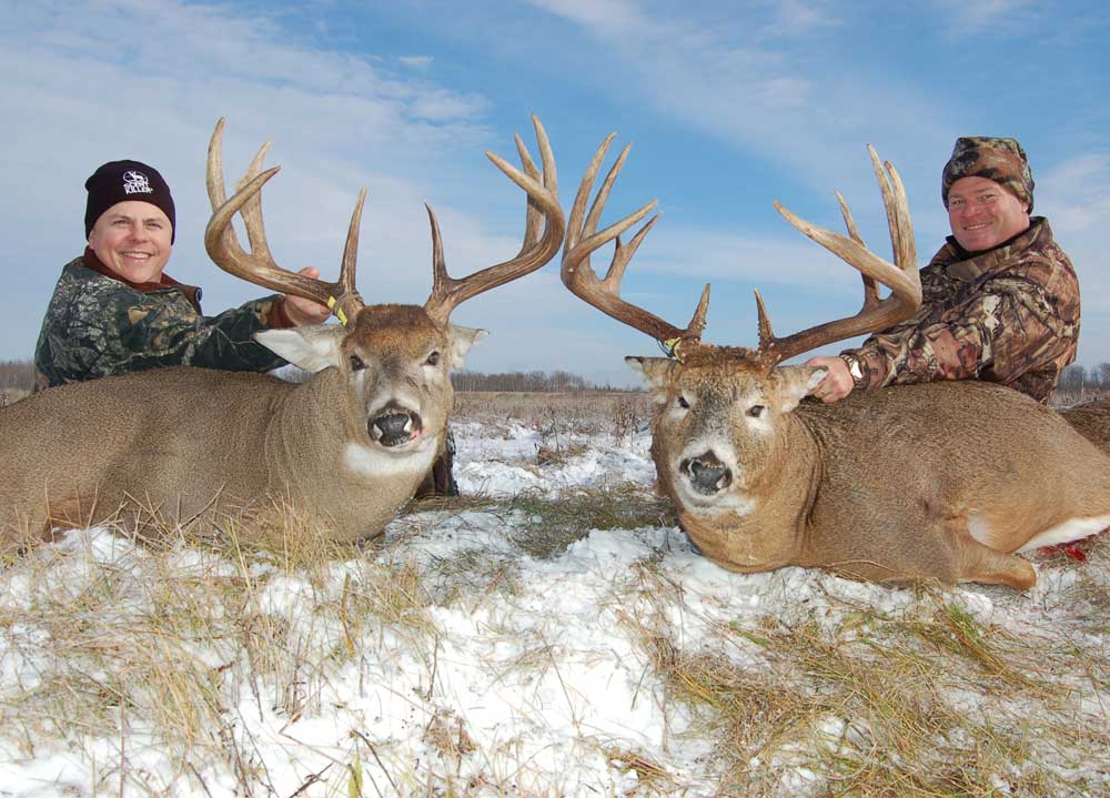 Todd Amenrud Ontario bucks