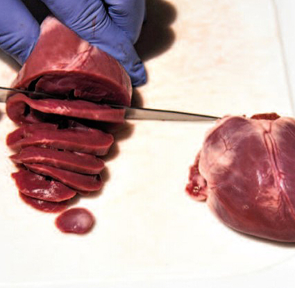 organ meat