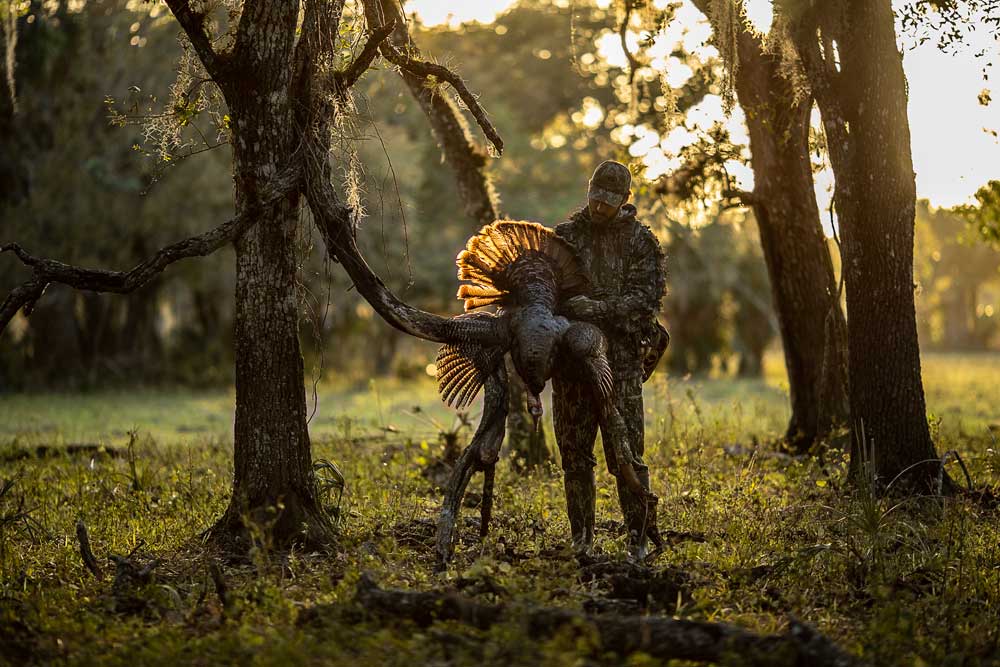 osceola turkey harvest