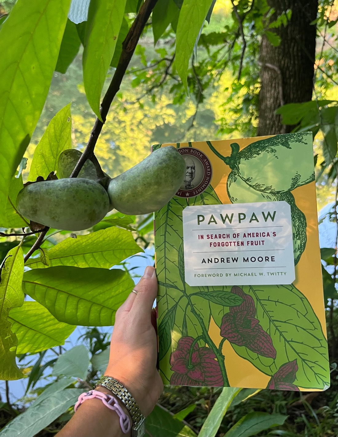 the book held by a cluster of pawpaws