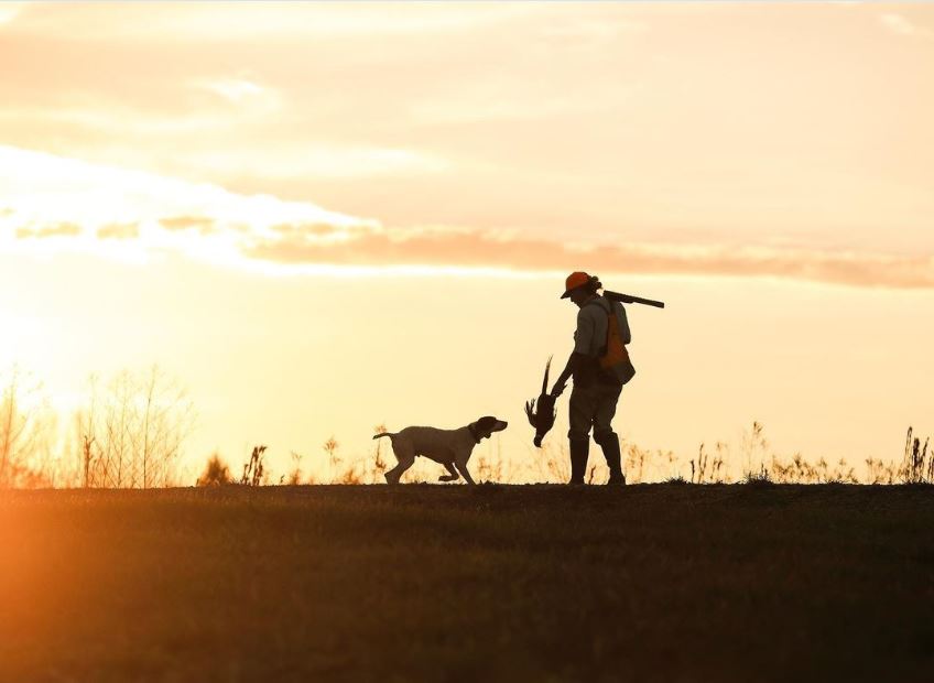 pheasant hunter with dog