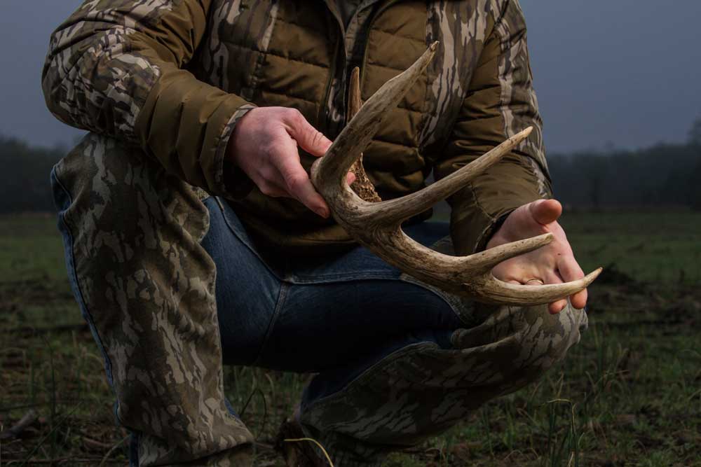 picking up shed antler