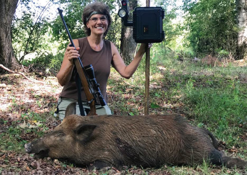 hog hunting with surveillance