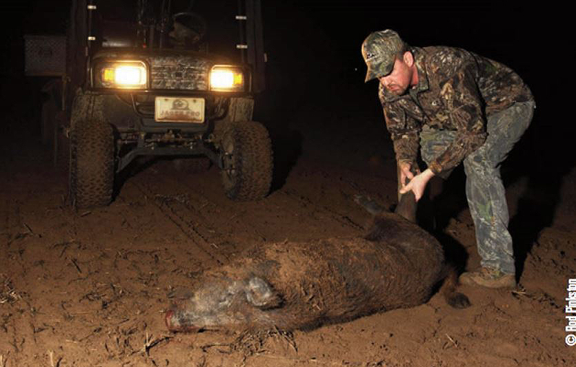 Rod Pinkston hog hunting