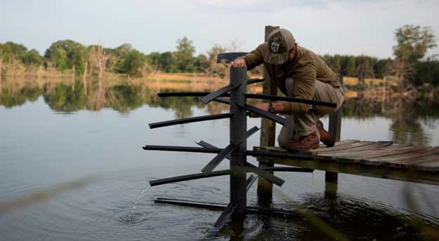 man places fish structure