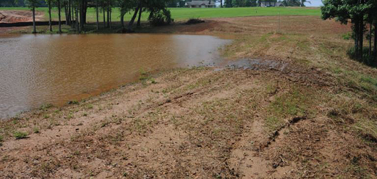 pond levee