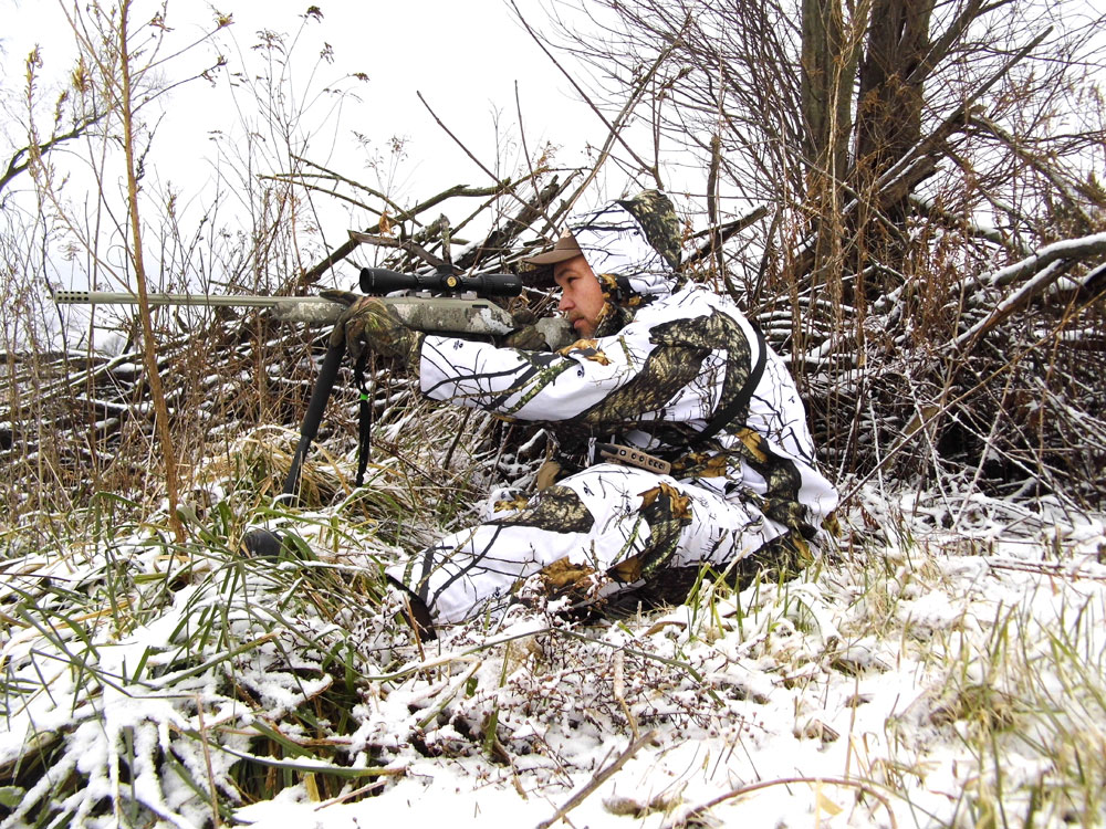 predator hunting in snow
