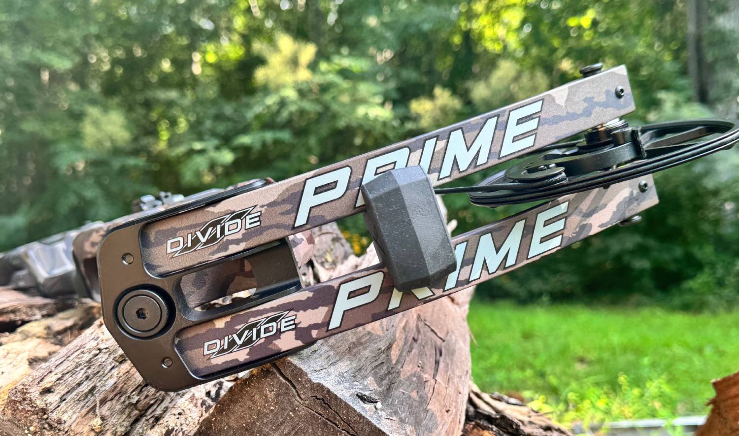 bottomland bow