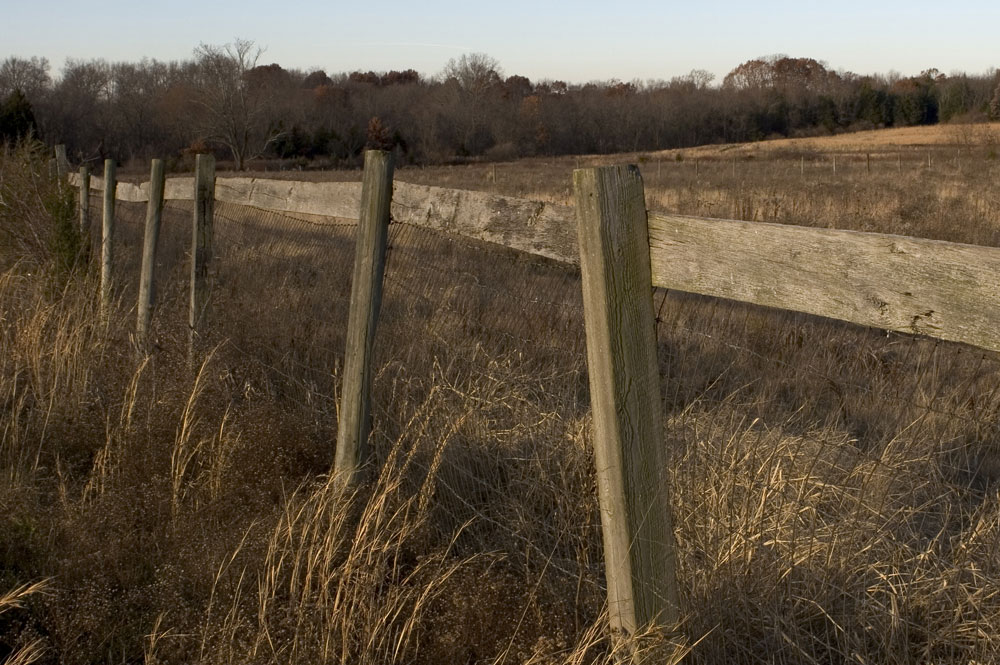 property fence
