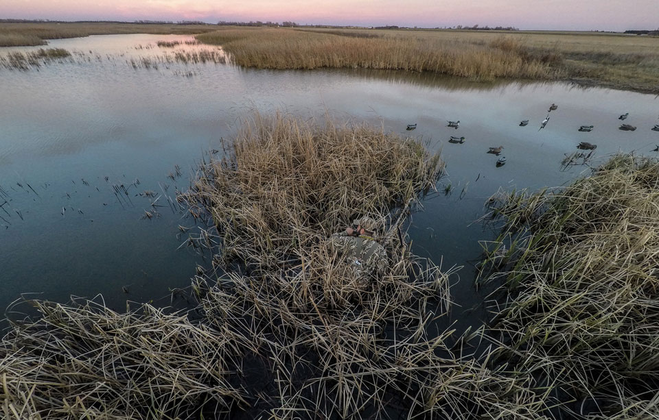 public land waterfowl hunting