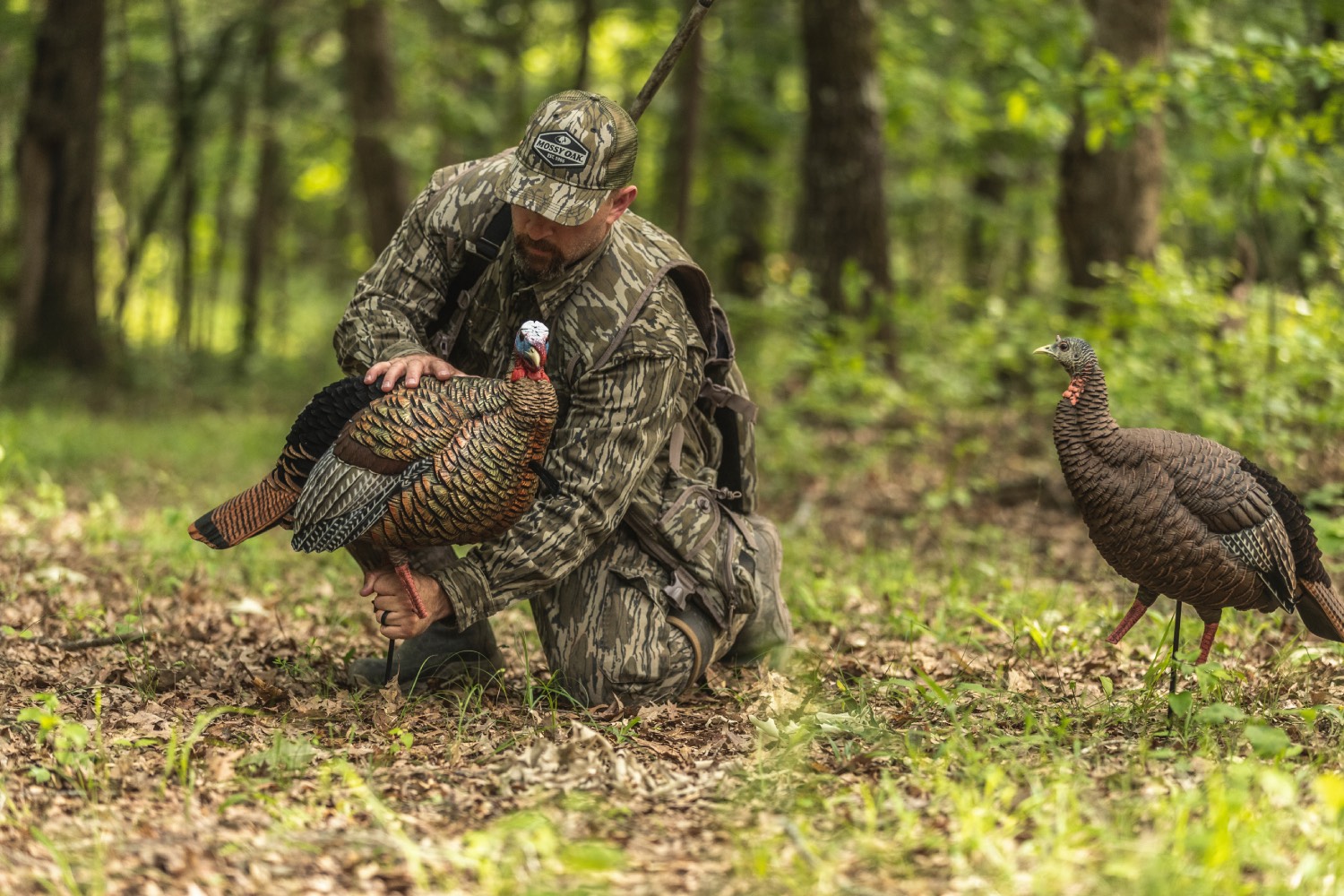 turkey decoys